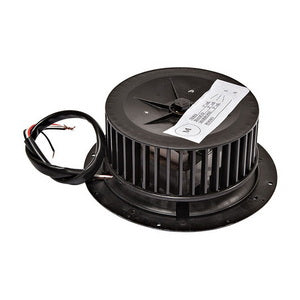 Engine (motor) for hood K271896F 65002733037 (3 speeds)