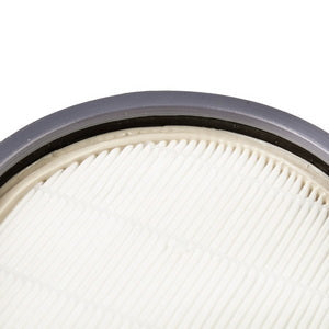 A set of HEPA filters + microfilter (container) ZR904301 for a Rowenta vacuum cleaner