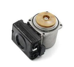 Immergas gas boiler Circulation pump assembly Victrix Superior 32 kW 1.031150