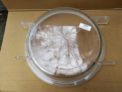 Hopper cover for potato peeler Fimar, Angelo Po LCF, LCN, PLN, PPF series