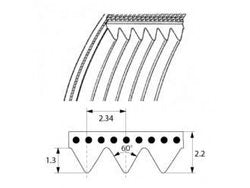 Poly V-belt TB2.34-610 MEGADYNE for potato peeler Pasquini, Fama RIC-CINGHIA-PP10 FP021