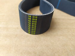 Poly-V belt for potato peeler Fimar 692144 559J