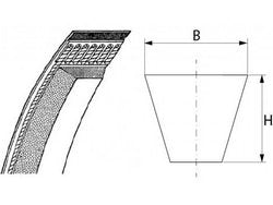 V-belt A/13 for Alimacchine NT series testomies