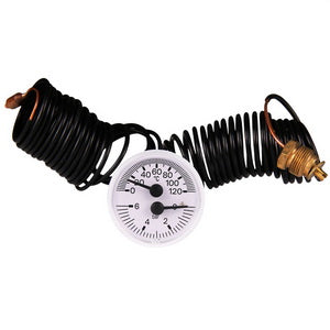 Термоманометр 0-6 бар 0-120 °C для газового котла Ferroli Pegasus F3 2S new 39820100