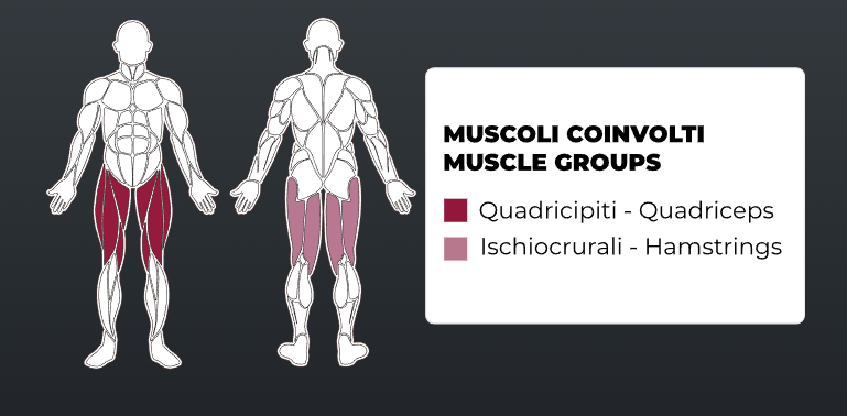 Тренажер для жиму ногами Toorx FWX-6000 LEG PRESS