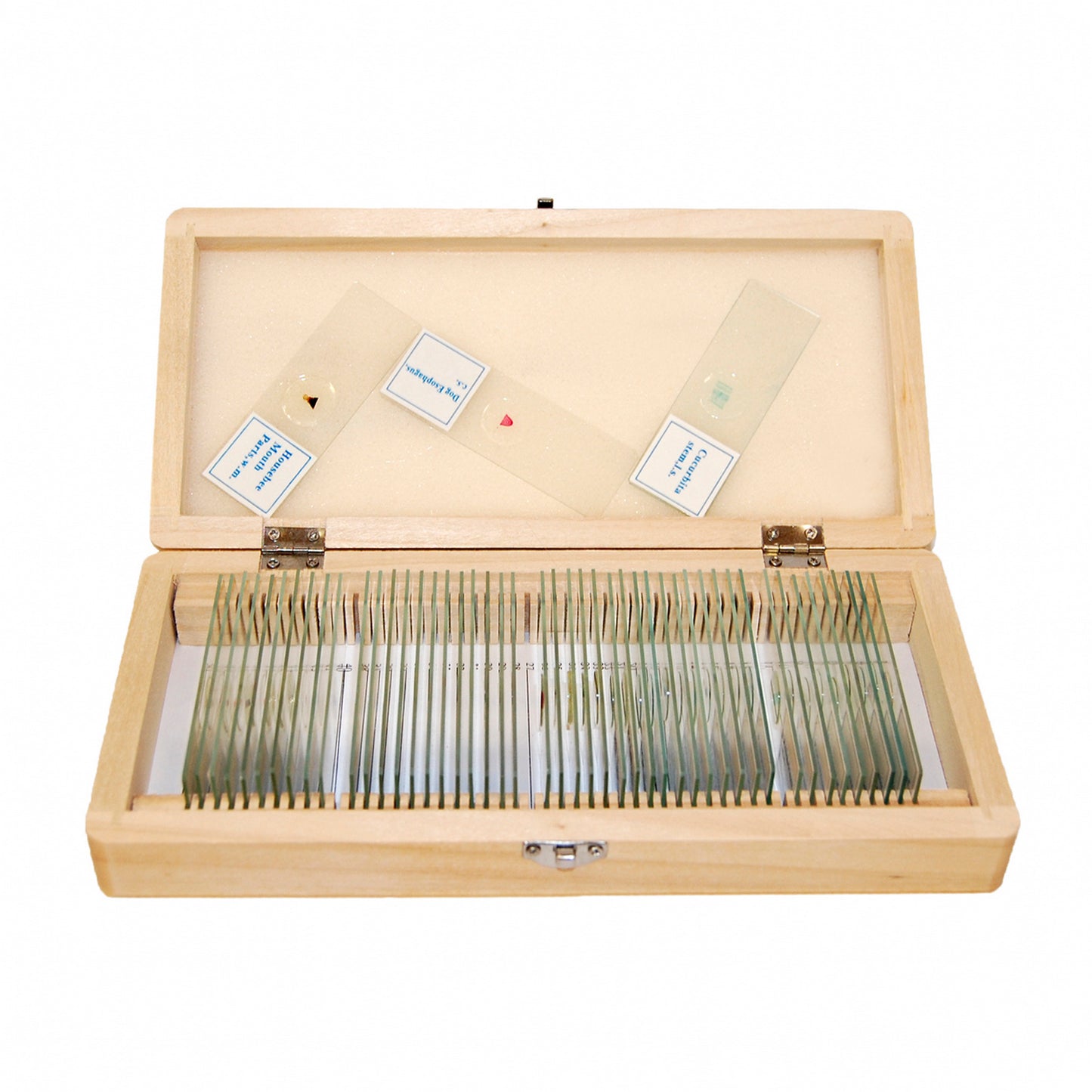 Set of preparations Optima Zagalna biology A (50 pcs.) (S-004.1)