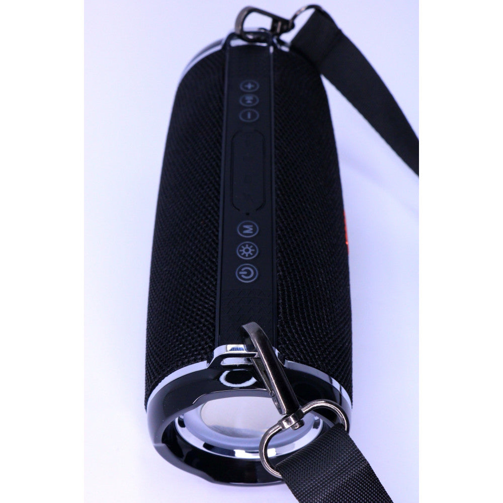 Portable speaker Viva S39