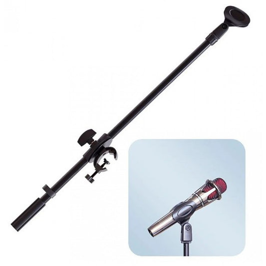 Holder with mount for phone + mount for microphone