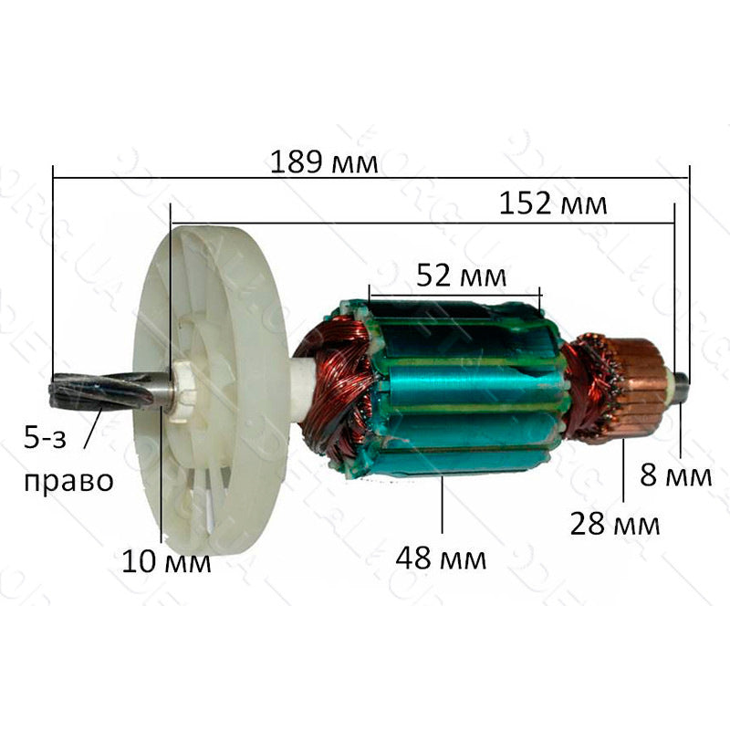 WinTech WCS-210 Circular Saw Armature (189*48 5 Teeth / Right)