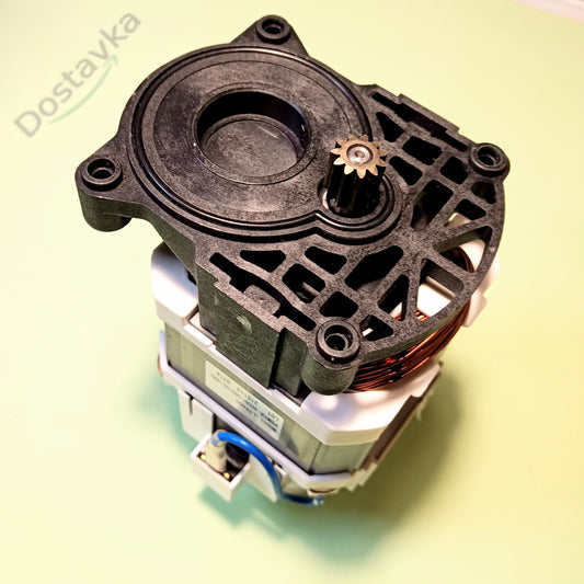 NPO Garden CW 7.5/2.2 pressure washer electric motor (assembled) LT9650