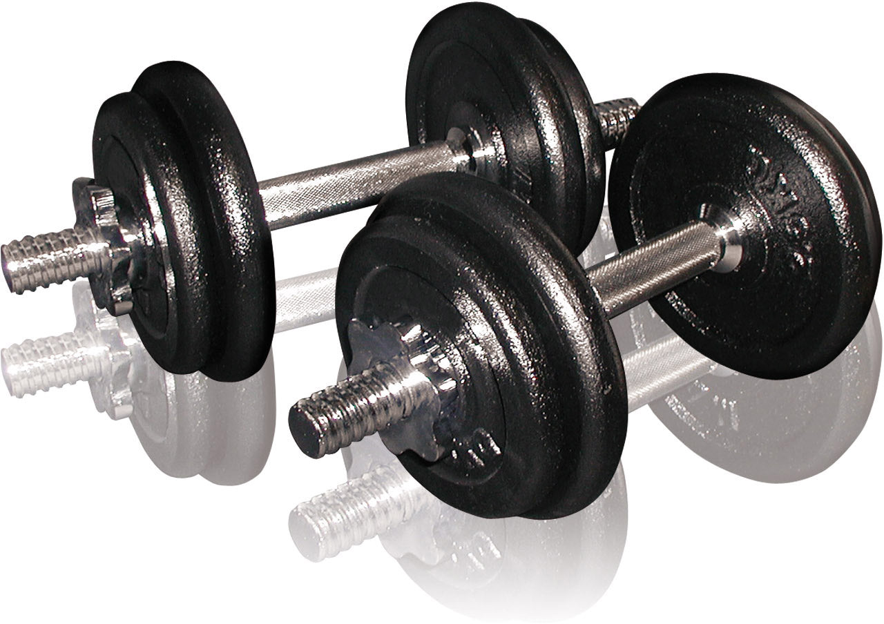 Toorx dumbbells 20 kg with case (VAL-20DGN)