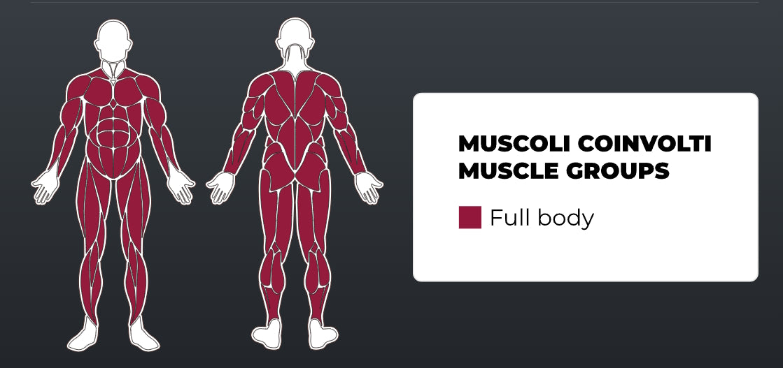 Кросовер Toorx CSX-3000 (CSX-3000)