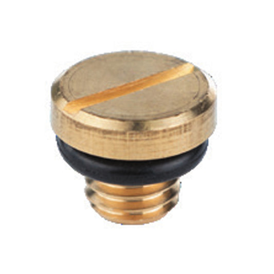 DONGYIN submersible pumps Ø75-96mm Oil filler plug (M8×1.25) (777101108)