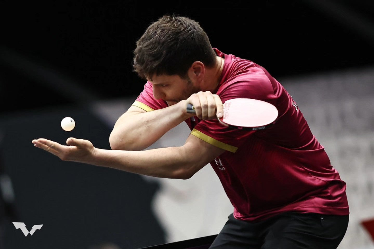 Ракетка для настільного тенісу Butterfly Ovtcharov Prime C (Carbon) FL (1215-4016-01)