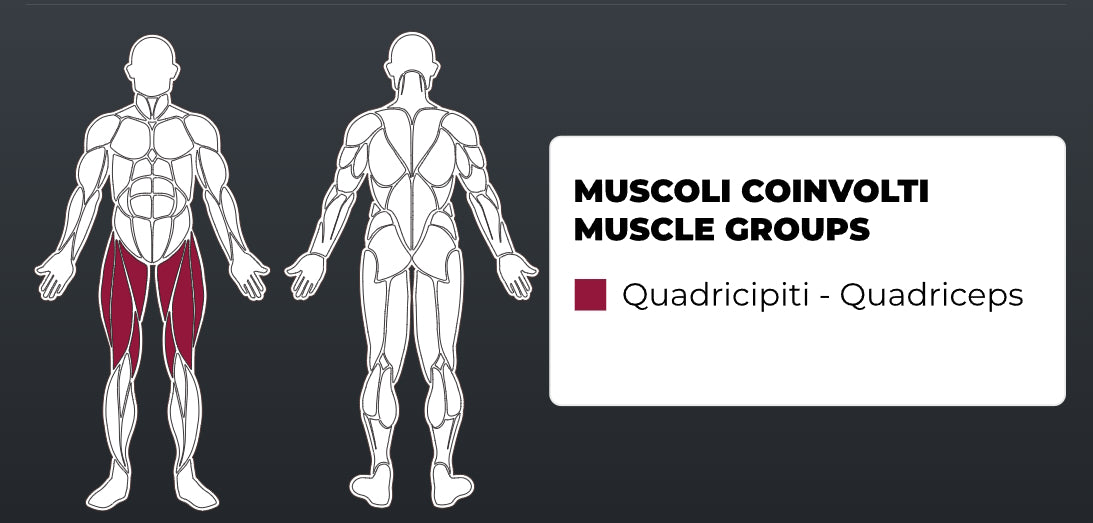 Тренажер для розгинання ніг Toorx FWX-4800 LEG EXTENSION