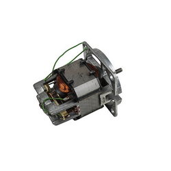 Engine for juicer. SVMR-301 Elvo