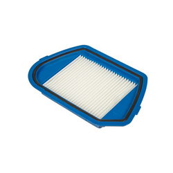 Container filter. HEPA for Rowenta vacuum cleaner