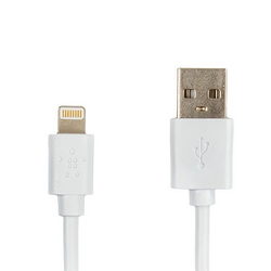 USB data cable (Lightning) Belkin L=1200mm for mobile phone iPhone 5S Apple white