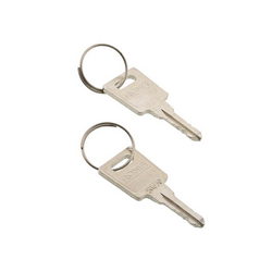 Set of keys (2 pcs.) for AEG freezer door lock
