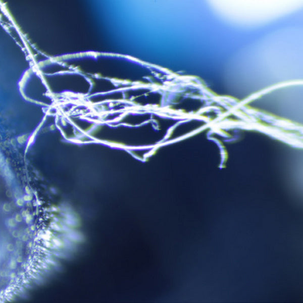 Microscope Optika LAB 30 7x-45x Trino Stereo Zoom