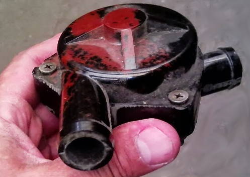 СИБИРЬ 4-лапах