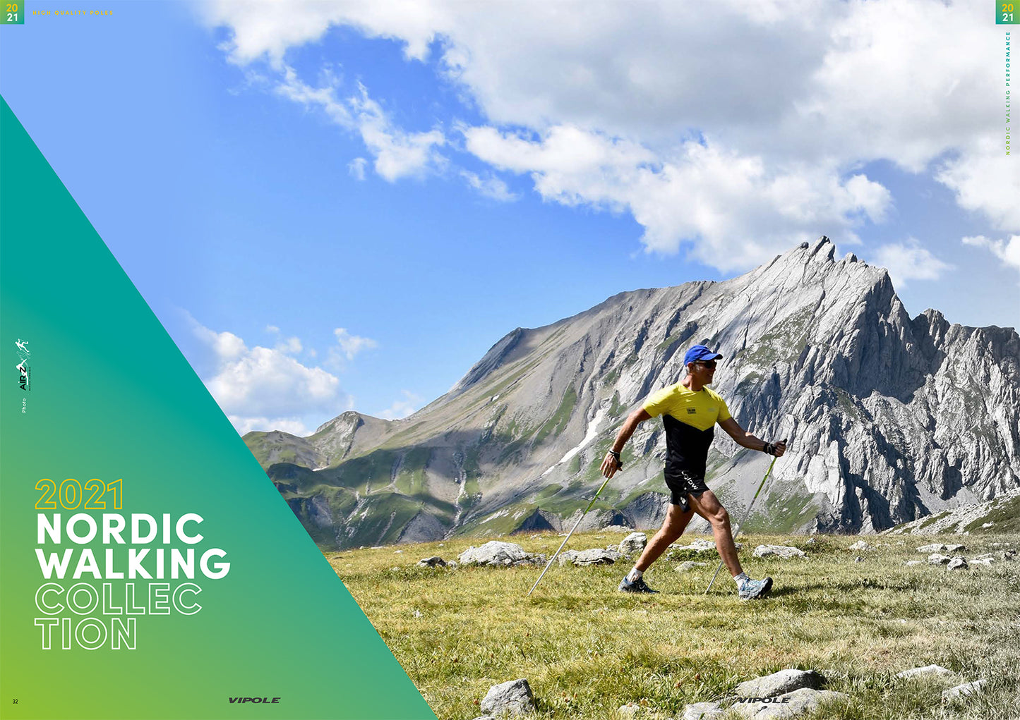 Nordic walking sticks Vipole Vario Novice Gray (S20 33)