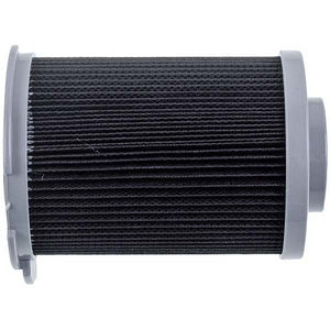 HERA Filter for vacuum cleaner LG 5231FI3768A