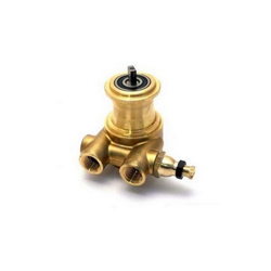 Rotary pump for Philips Saeco 8 BAR 100L DM0217/002/PG