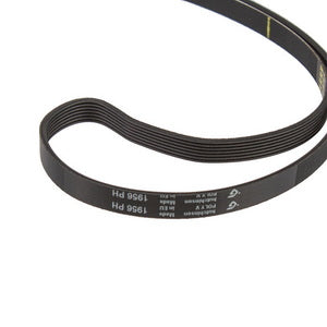Beko Tumble Dryer Hutchinson 2962470100 Drive Belt 1956H7