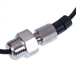 Thermocore (grub probe) Rational 40.00.606P D=110mm cable L=2200mm