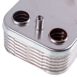 Heat exchanger plates for gas boiler Beretta R8036 (12 plates)