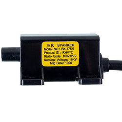 Beretta gas boiler Rozpalu transformer Ciao R10021272