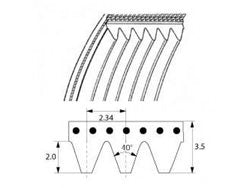 Poly-V belt for potato peeler Fimar 692144 559J