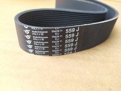 Poly-V belt for potato peeler Fimar 692144 559J