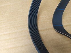 Poly-V belt for potato peeler Fimar 692144 559J