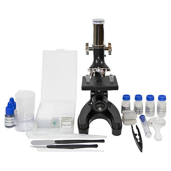 Microscope Optima Beginner 300x-1200x gift set (MB-beg 01-101S)