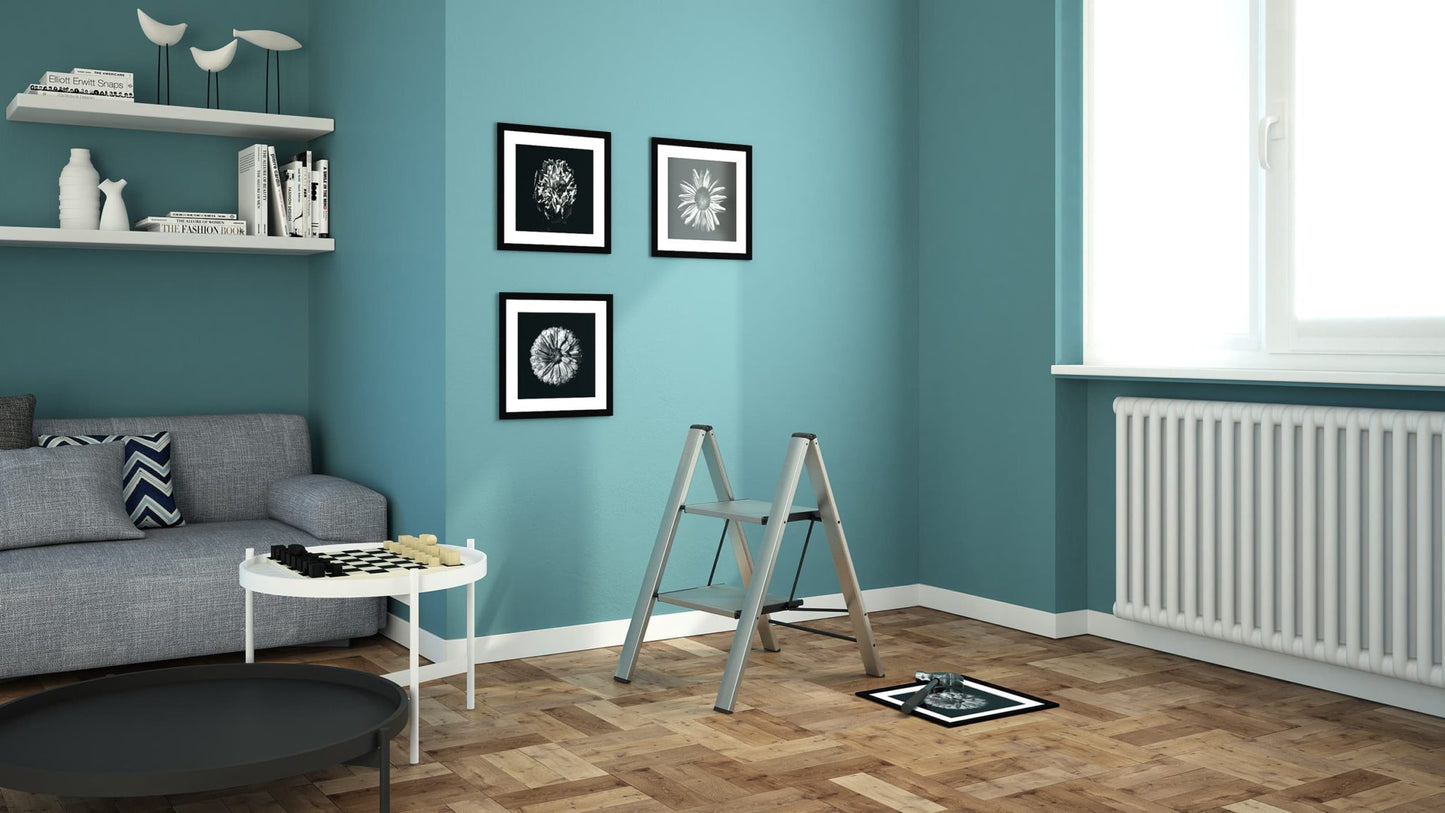 Colombo Leonardo Black 2-step ladder (G300A02W)