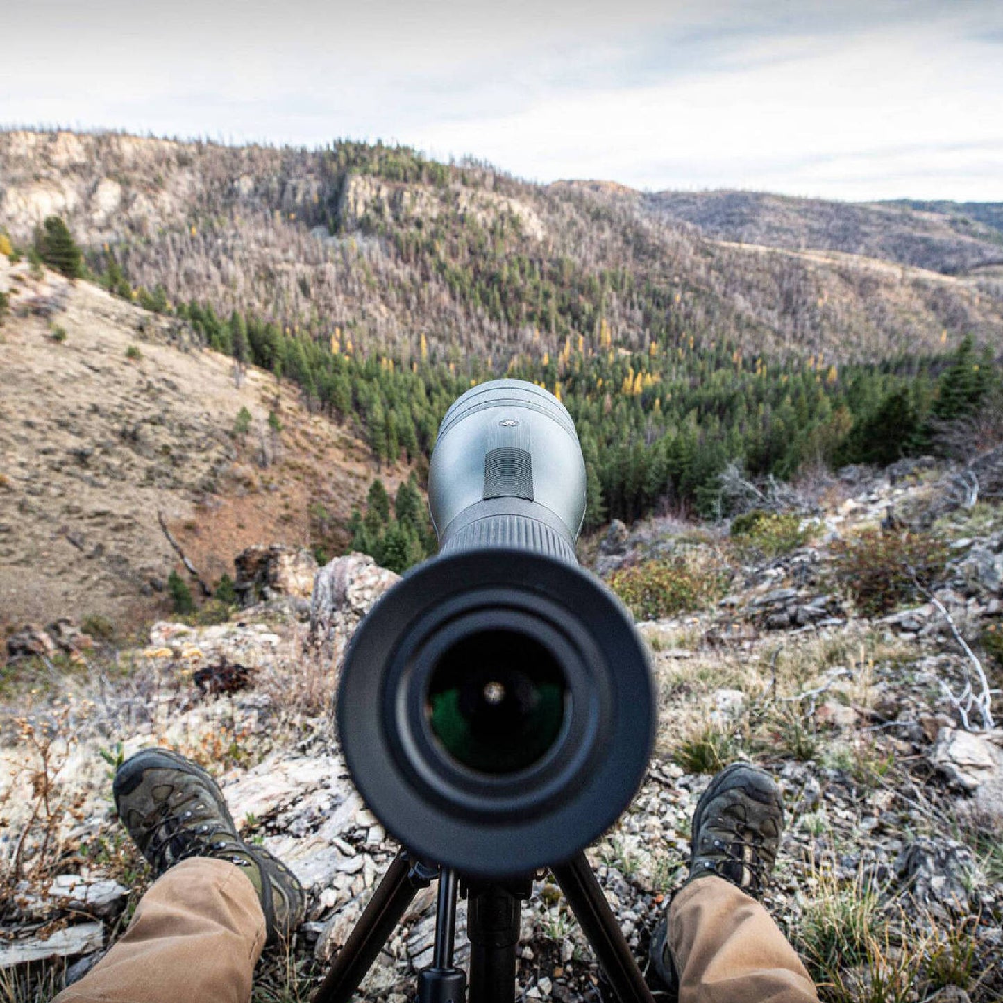 Vortex Diamondback HD 20-60x85 AN (DS-85A)