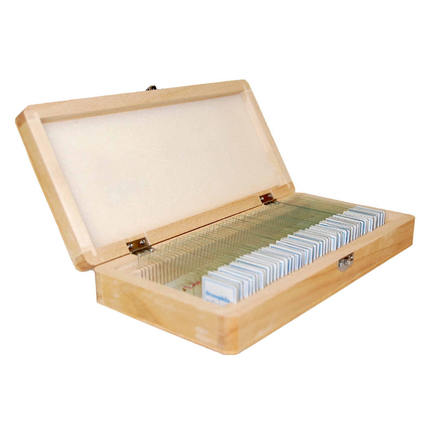 Set of preparations Optima Zagalna biology A (50 pcs.) (S-004.1)