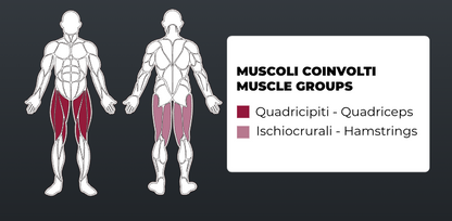 Тренажер для жиму ногами Toorx FWX-6000 LEG PRESS