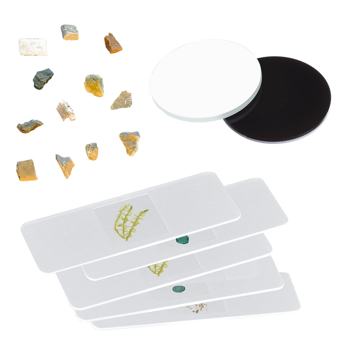 Microscope Bresser Junior Stereo 20x-50x (8852001)