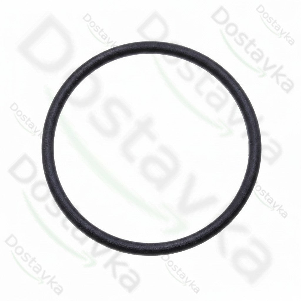 Уплотнительное кольцо мойки высокого давления Tekhmann PWA-160/2500 IM (22*1)