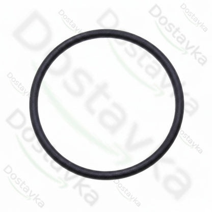 Уплотнительное кольцо мойки высокого давления Tekhmann PWA-160/2500 IM (22*1)