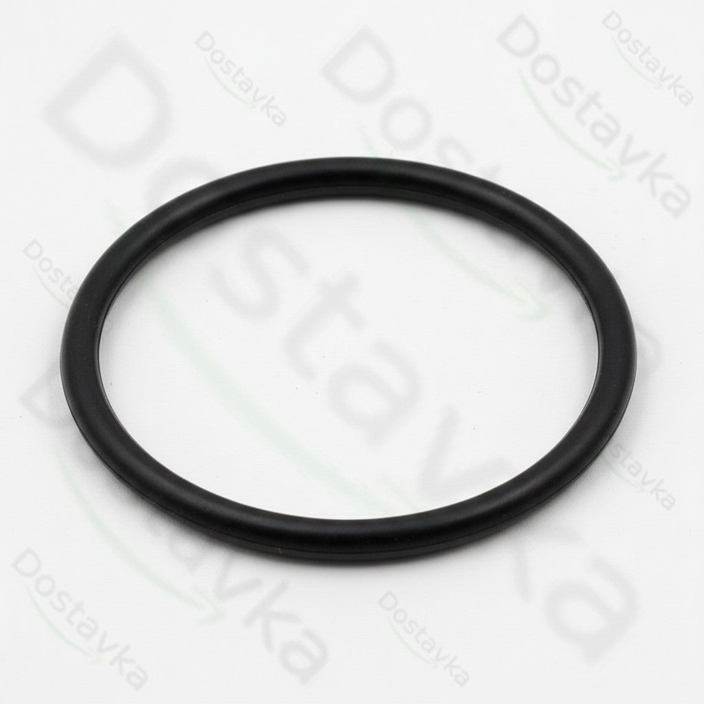 Уплотнительное кольцо мойки высокого давления Tekhmann PWA-160/2500 IM (22*1)