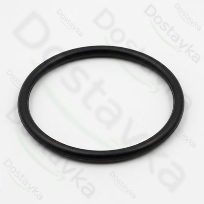 Уплотнительное кольцо мойки высокого давления Tekhmann PWA-160/2500 IM (22*1)