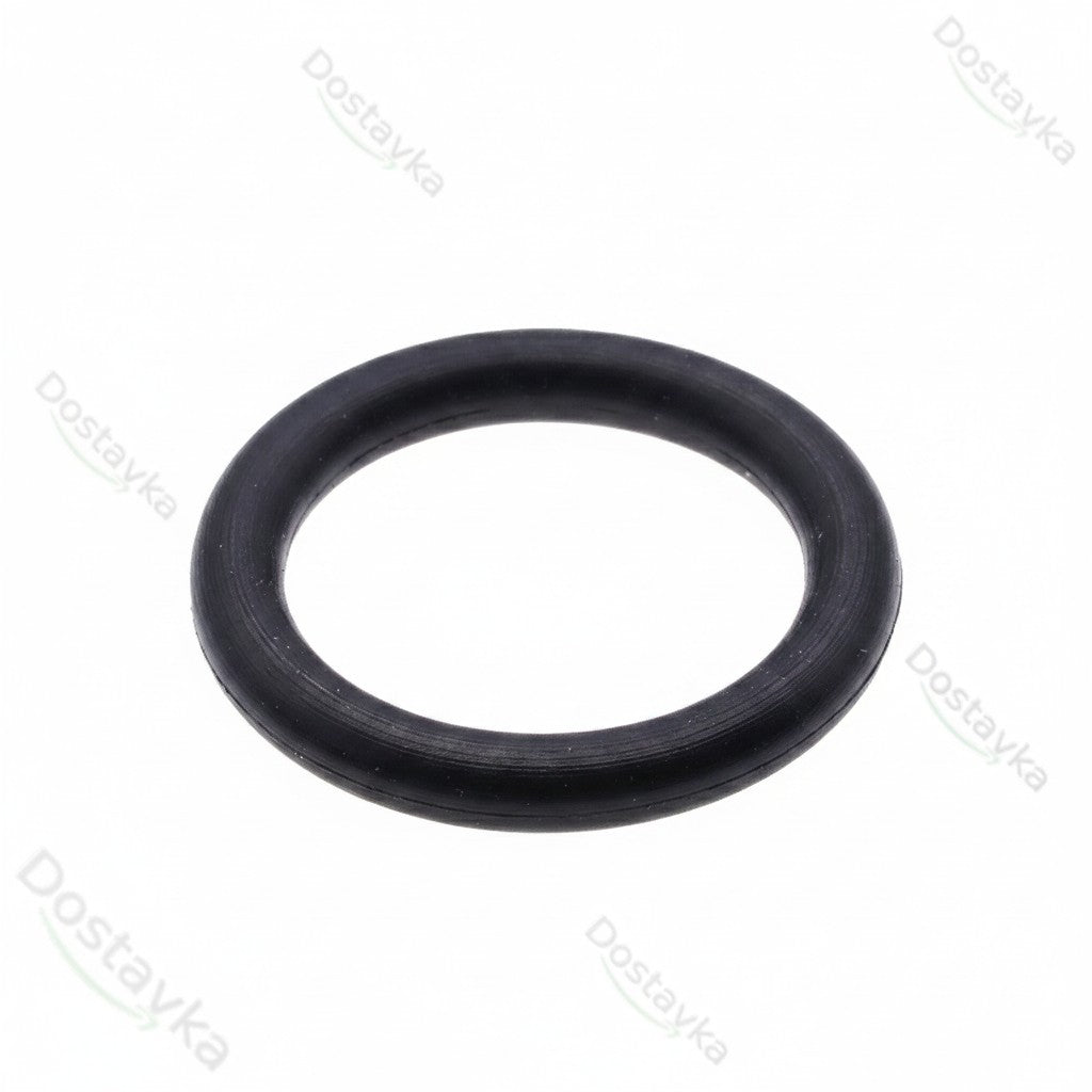 Уплотнительное кольцо мойки высокого давления Tekhmann PWA-160/2500 IM (14*2,65)