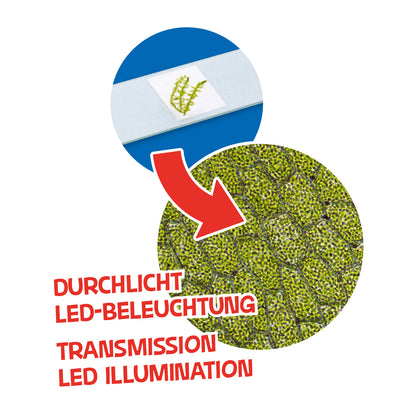 Microscope Bresser Junior 40x-640x Orange with case (8851310)