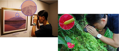 Binoculars Pentax UP 6.5x21 Papilio II (62001) 