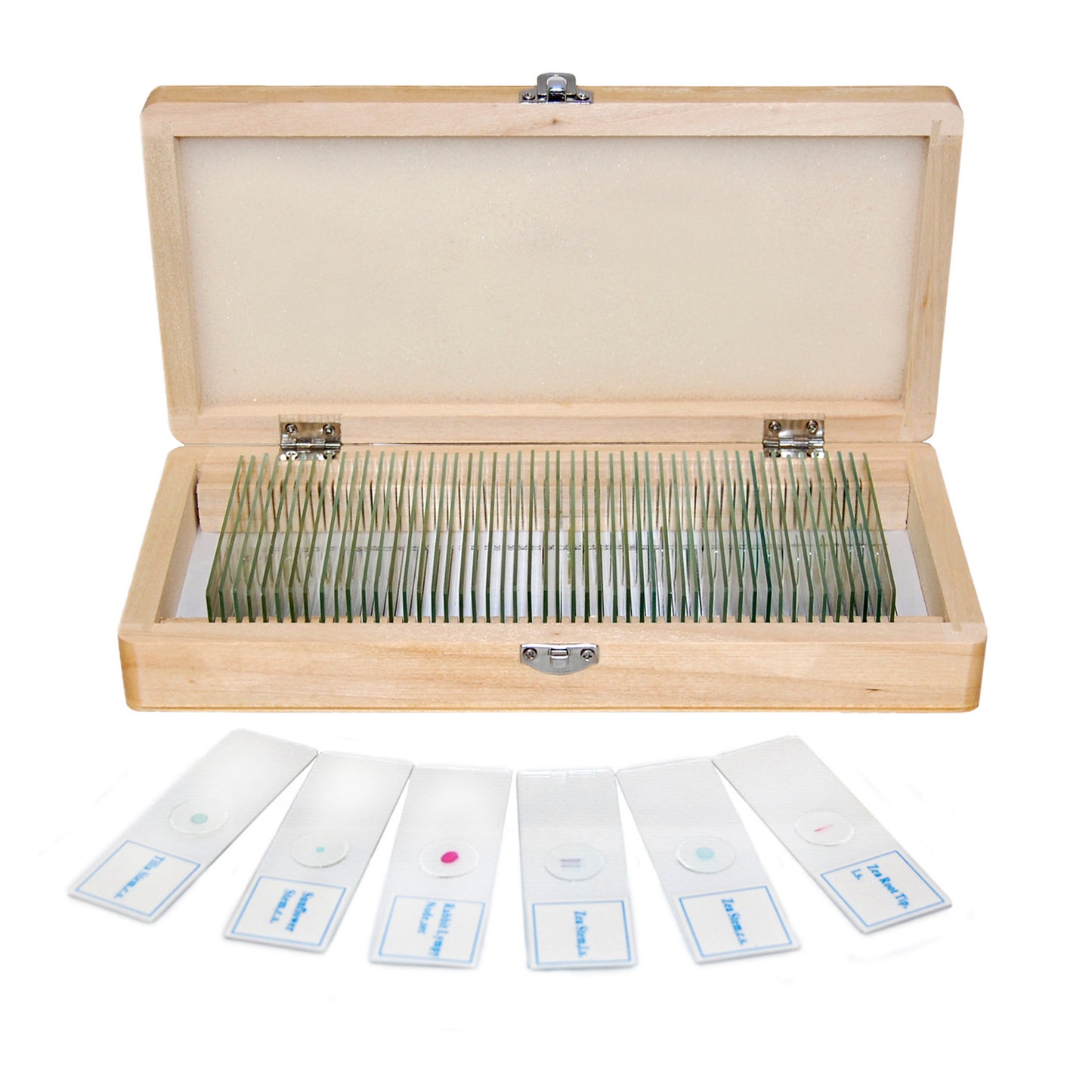 Set of preparations Optima Zagalna biology A (50 pcs.) (S-004.1)