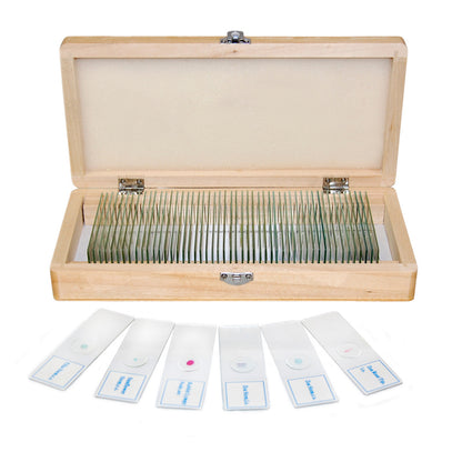 Set of preparations Optima Zagalna biology A (50 pcs.) (S-004.1)